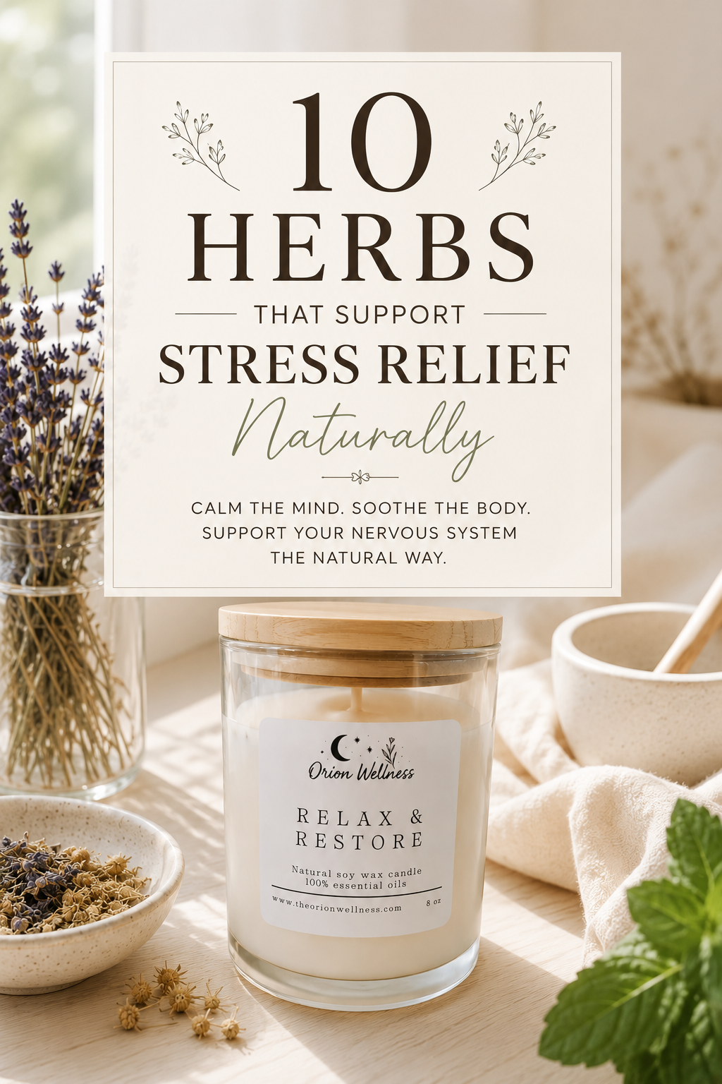 10 Herbs That Support Stress Relief Naturally
