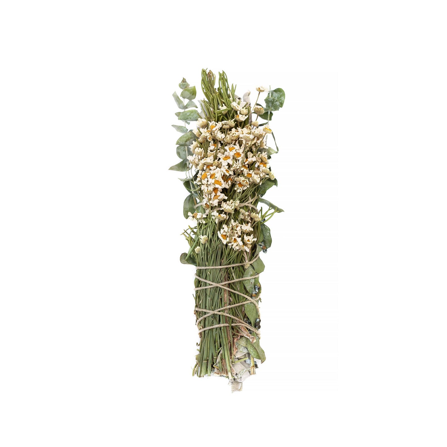 Chamomile, Eucalyptus, and Rosemary Wrapped 8" Sage Bundle