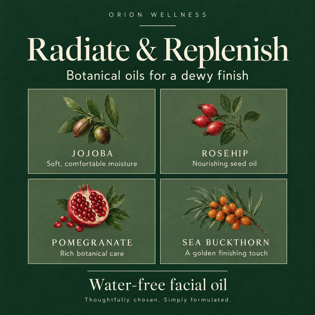 Radiate & Replenish facial oil key botanical ingredients
