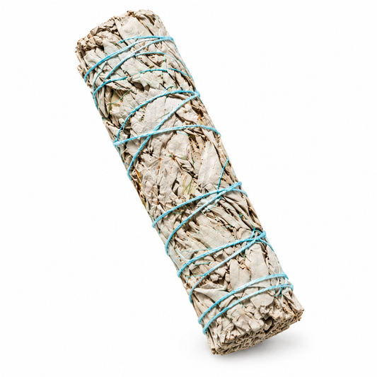 Sacred White Sage Bundle on white background